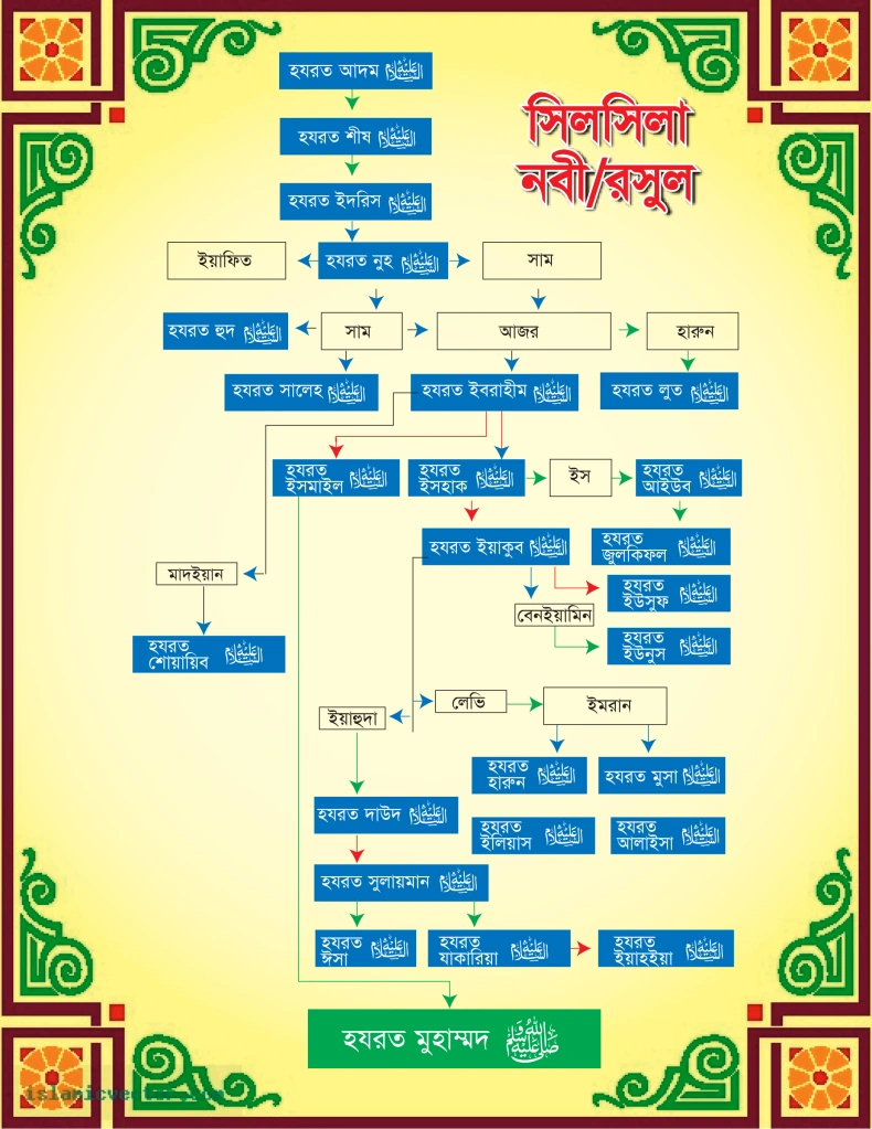 পৃথিবীতে কোন নবীর পর কোন নবী আসেন।